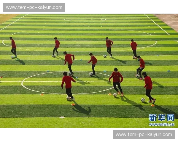 绿城与毅腾：一场关于青春、梦想与绿茵场上的不懈追逐