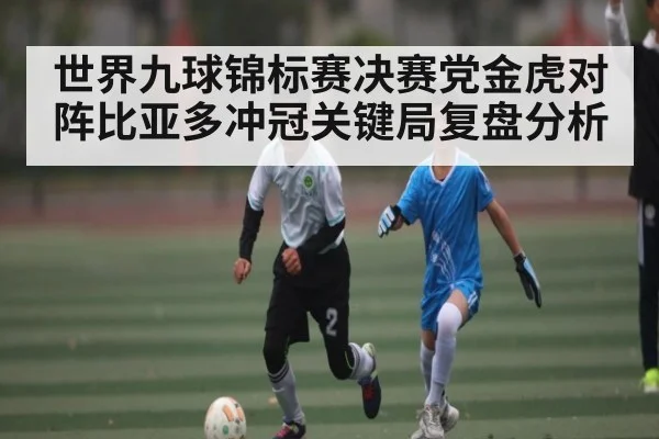 世界九球锦标赛决赛党金虎对阵比亚多冲冠关键局复盘分析（kaiyun）